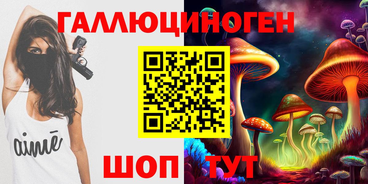 Псилоцибиновые грибы Cubensis Борзя