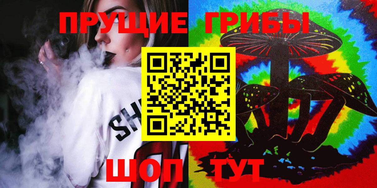 Борзя  Псилоцибиновые грибы Psilocybine cubensis  Вход с VPN 